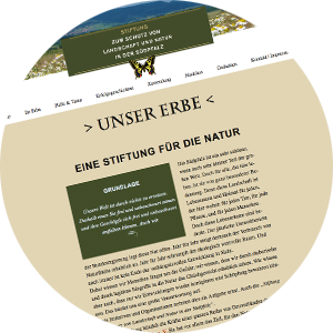 Homepage Stiftung