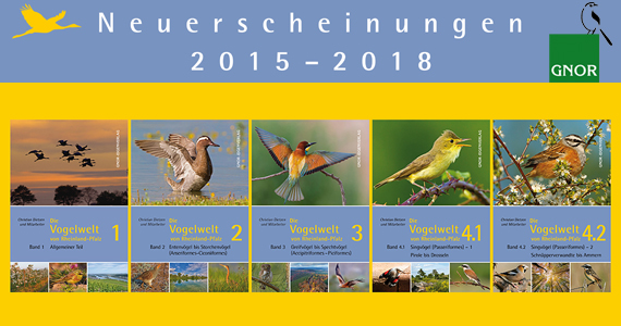 Die Vogelwelt von Rheinland-Pfalz