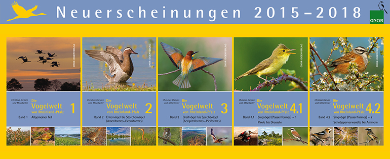 Die Vogelwelt von Rheinland-Pfalz
