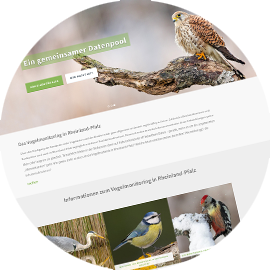 Homepage Vogelmonitoring